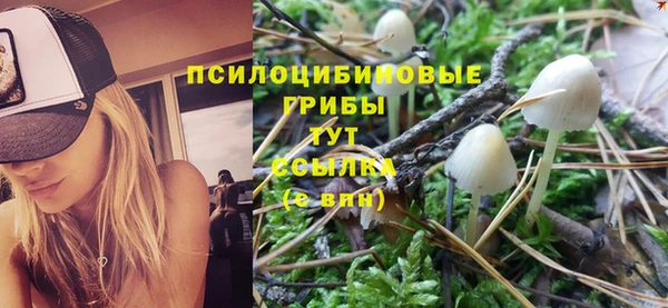 гидра Беломорск