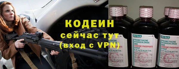 дживик Белокуриха