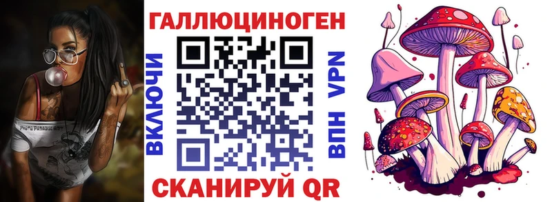 продажа наркотиков Светлый Галлюциногенные грибы Psilocybine cubensis